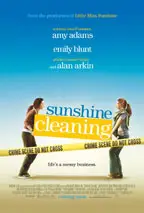 Sunshine Cleaning preview